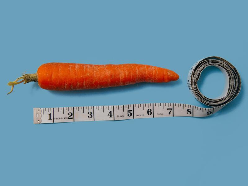 sexualmedizin.com - Sexualorgane beim Mann